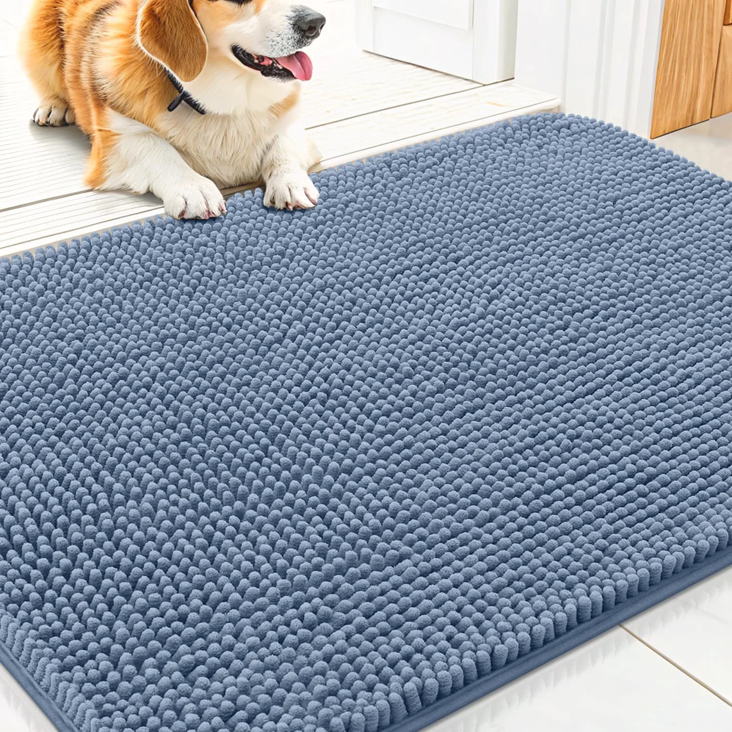 Effective Smiry Dog Door Mat for Muddy Paws 30x20 Absorbs Moisture and Dirt Doormat Non-Slip Washable Quick Dry Chenille Front Door Mat Indoor Entrance Entryway Carpet for Inside Floor Airy Blue Flexible