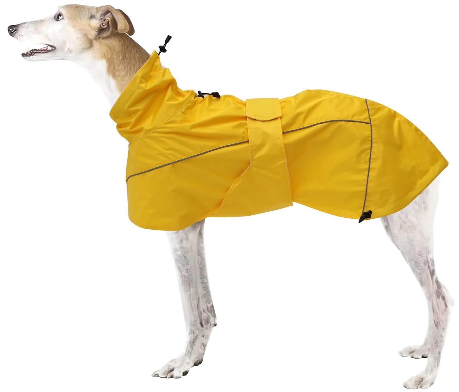 Clean Morezi Greyhound Lurcher Raincoat — Yellow Reflective Bar Waterproof Whippet Rain Gear M Natural