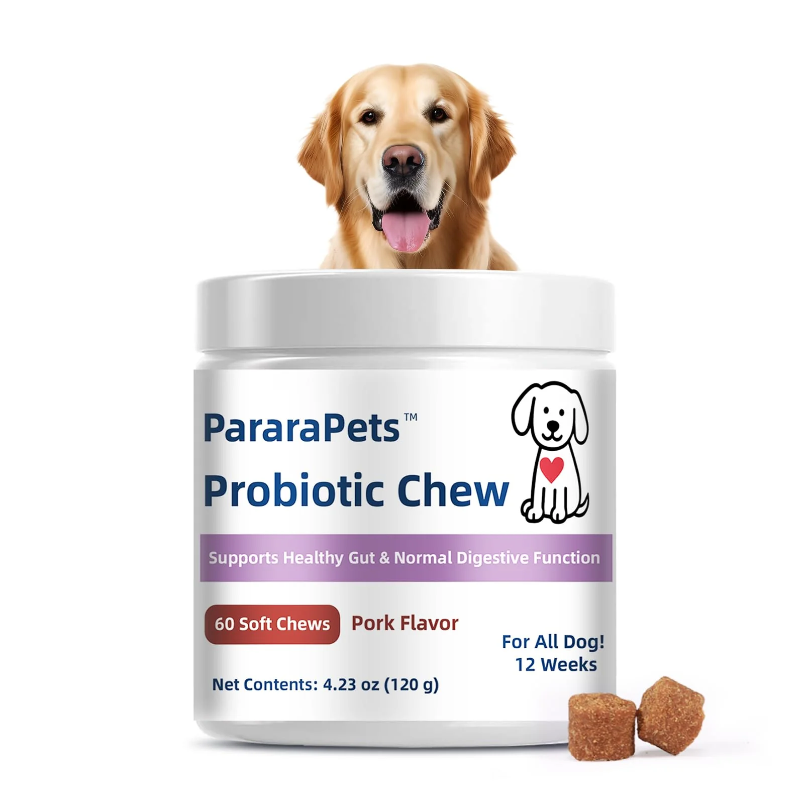 Elegant PararaPets Probiotics for Dogs — 60 Soft Chews for Digestion Skin Health and Immune Support Traditional