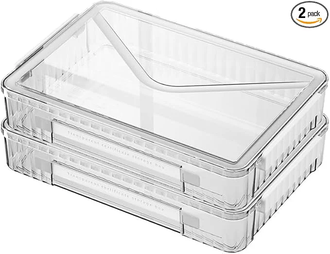Relaxed 2 Pcs 8.5 x 11 Paper Storage Clear Plastic Organizer for A4 With Handle Files Portable Project Case Art Organizer Snap Seal InsertsAbout ThisOverview Proven