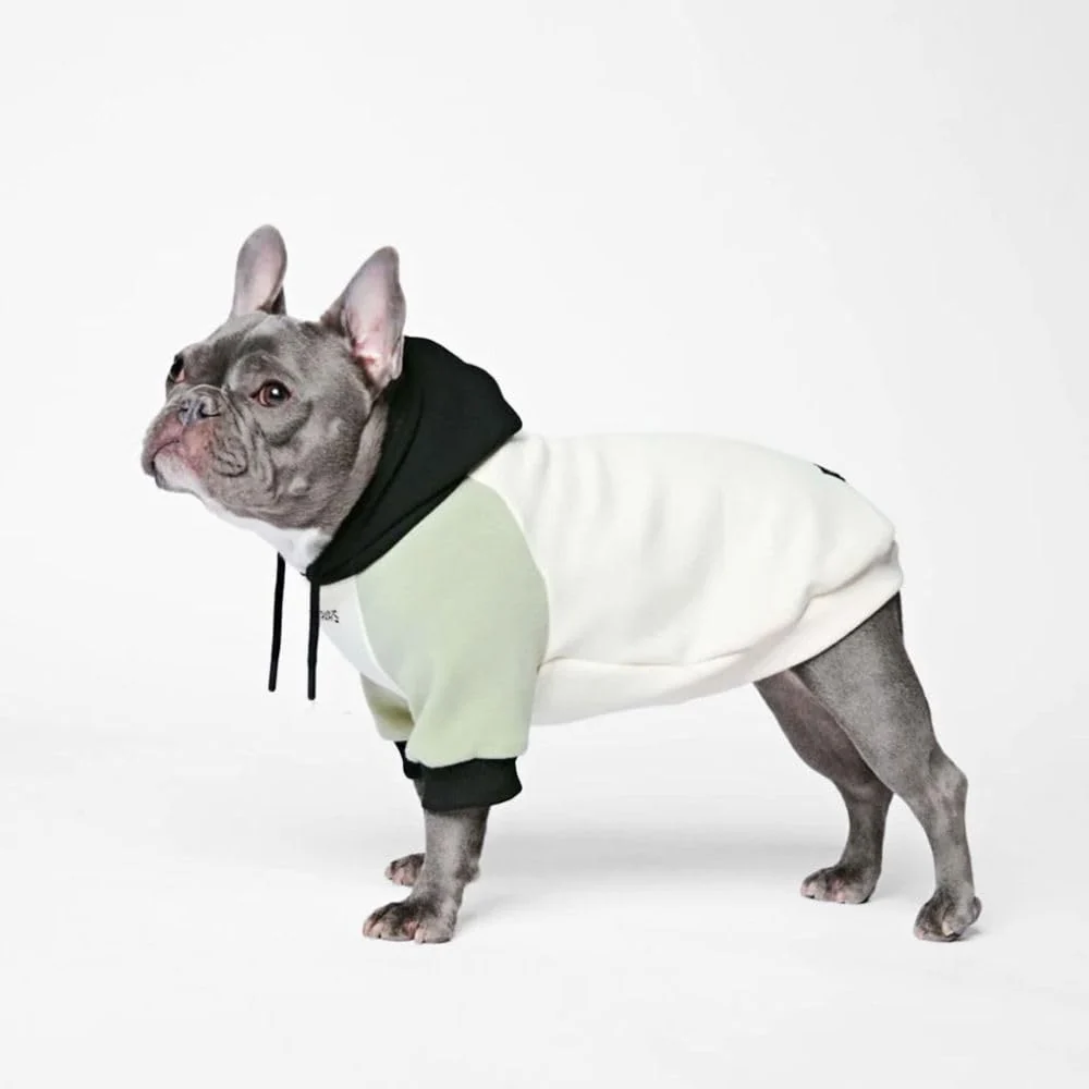 Crafted Spark Paws Dog Hoodie XL Olive Cream – Premium 4-Way Stretch Dog Sweater Solid