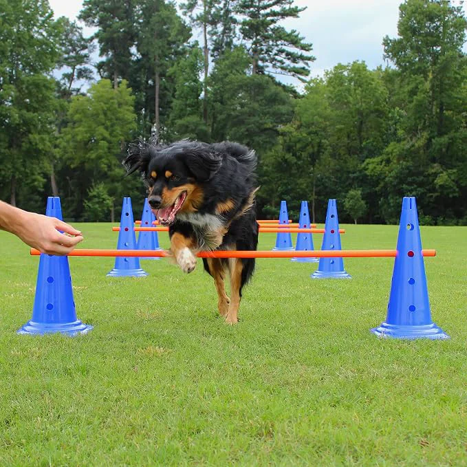 Original Design Dog Agility Hurdle Cone Set First-Class