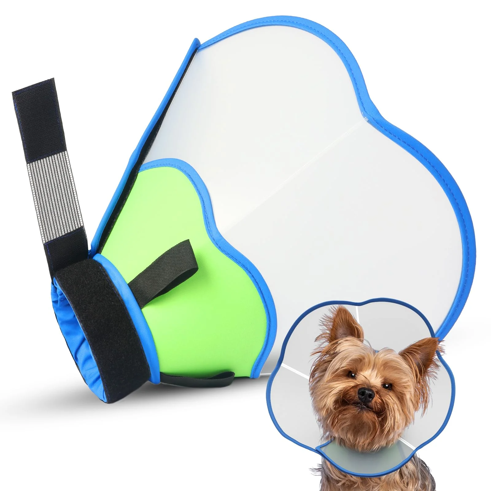 Exceptional TZBEINN Hard Plastic Dog Cone for Small Dogs – Adjustable Anti-Lick Collar Optimized