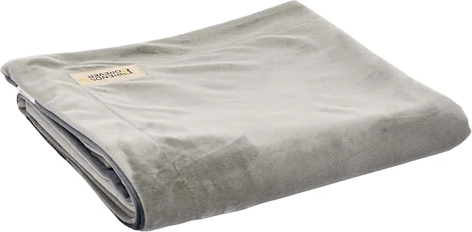 Dependable Friends Durable Dog Blanket Outstanding