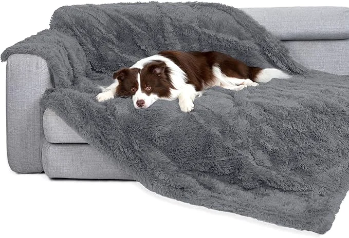 Powerful gogobunny Waterproof Dog Blanket Outstanding