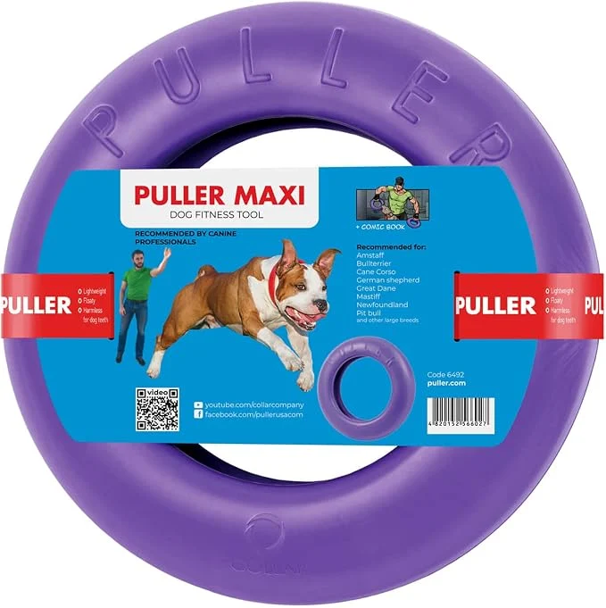Artisan COLLAR Puller Outdoor Ring Toy Stylish