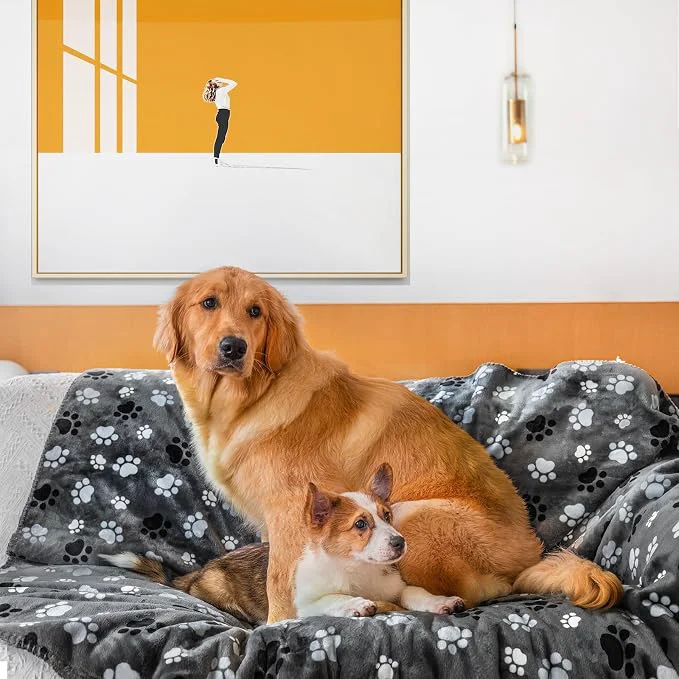 Original Waterproof Pet Blanket Dog Blankets Pattern Printing Super Soft Warm Fluffy Quality