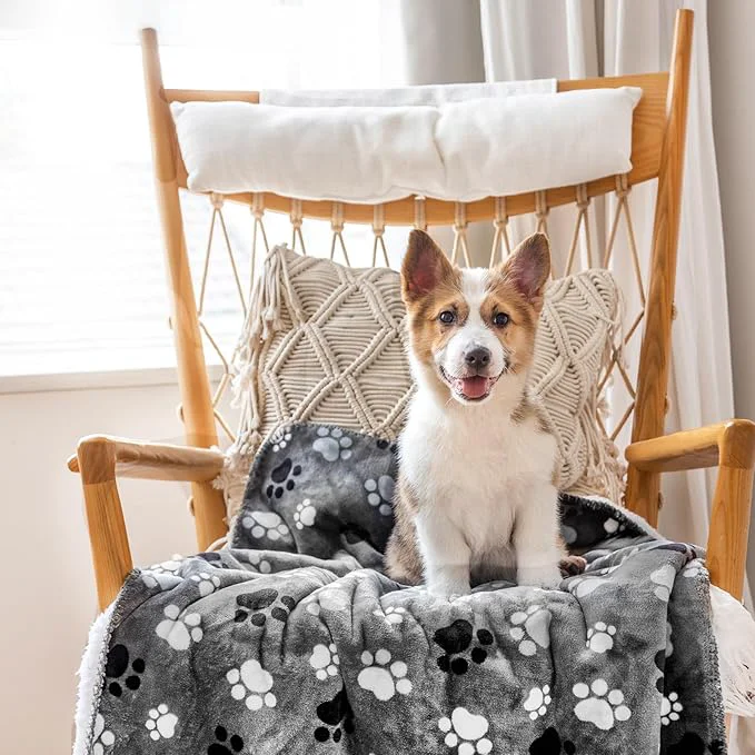 Artisan Waterproof Pet Blanket Dog Blankets Pattern Printing Super Soft Warm Fluffy Flexible