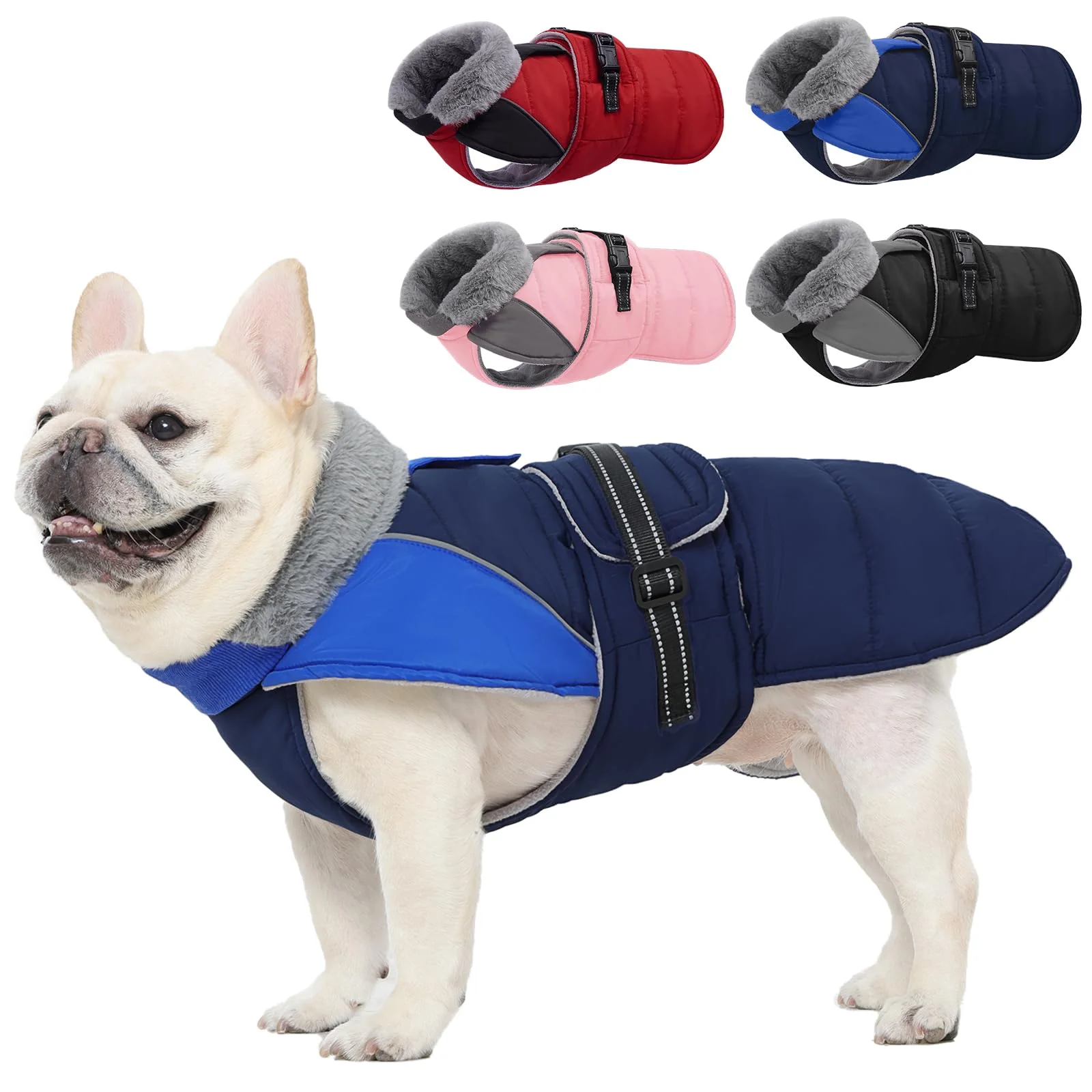 Smooth Nanaki Small Dog Winter Coat – Waterproof Warm Fleece Reflective Easy-On Jacket Pure