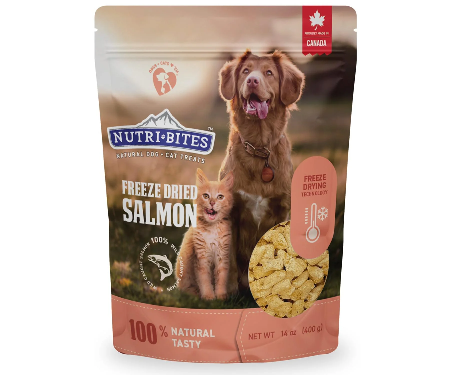 Specialty Nutri Bites ze-Dried Salmon Treats for Dogs Cats High-Protein 14 oz Bulk Premium Material