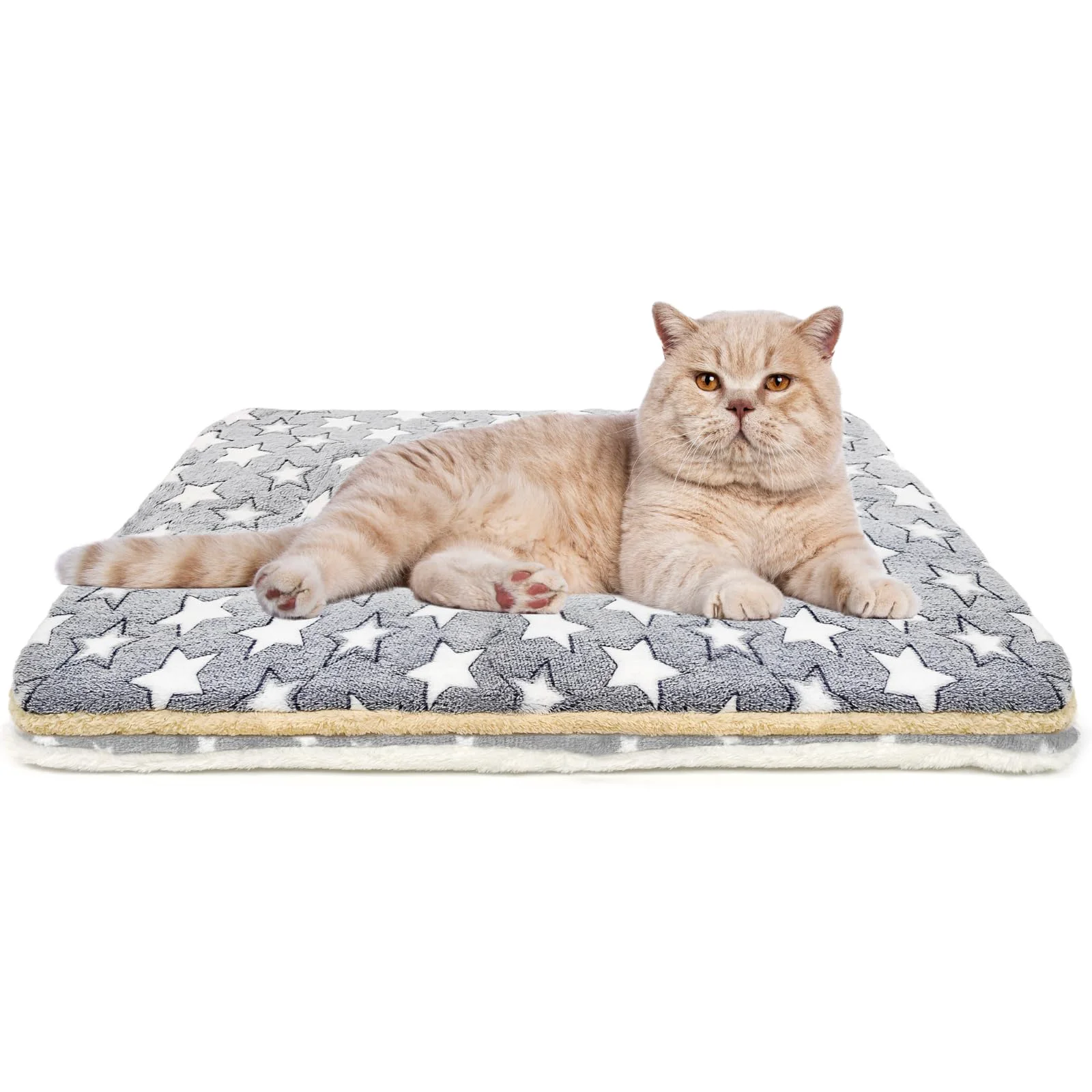 Proven Tierecare 2 Pack Cat Blanket – Ultra-Soft Calming Fleece Bed for Indoor Cats Carefully Designed
