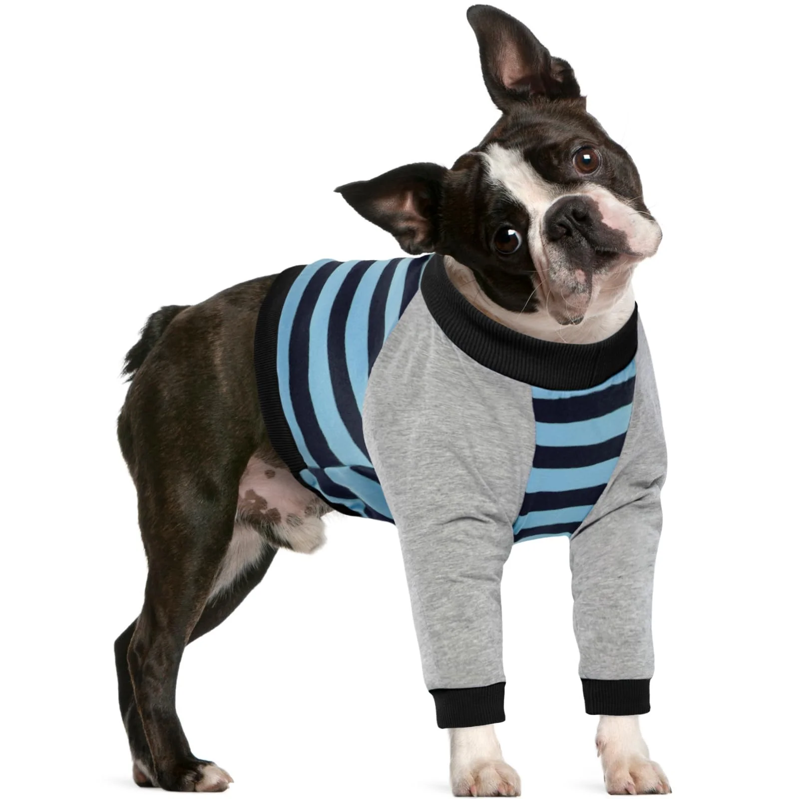 High-Quality FUAMEY Dog Recovery Sleeve with Elbow Protector - Front Leg Support Blue Stripe Size M Expertly Made