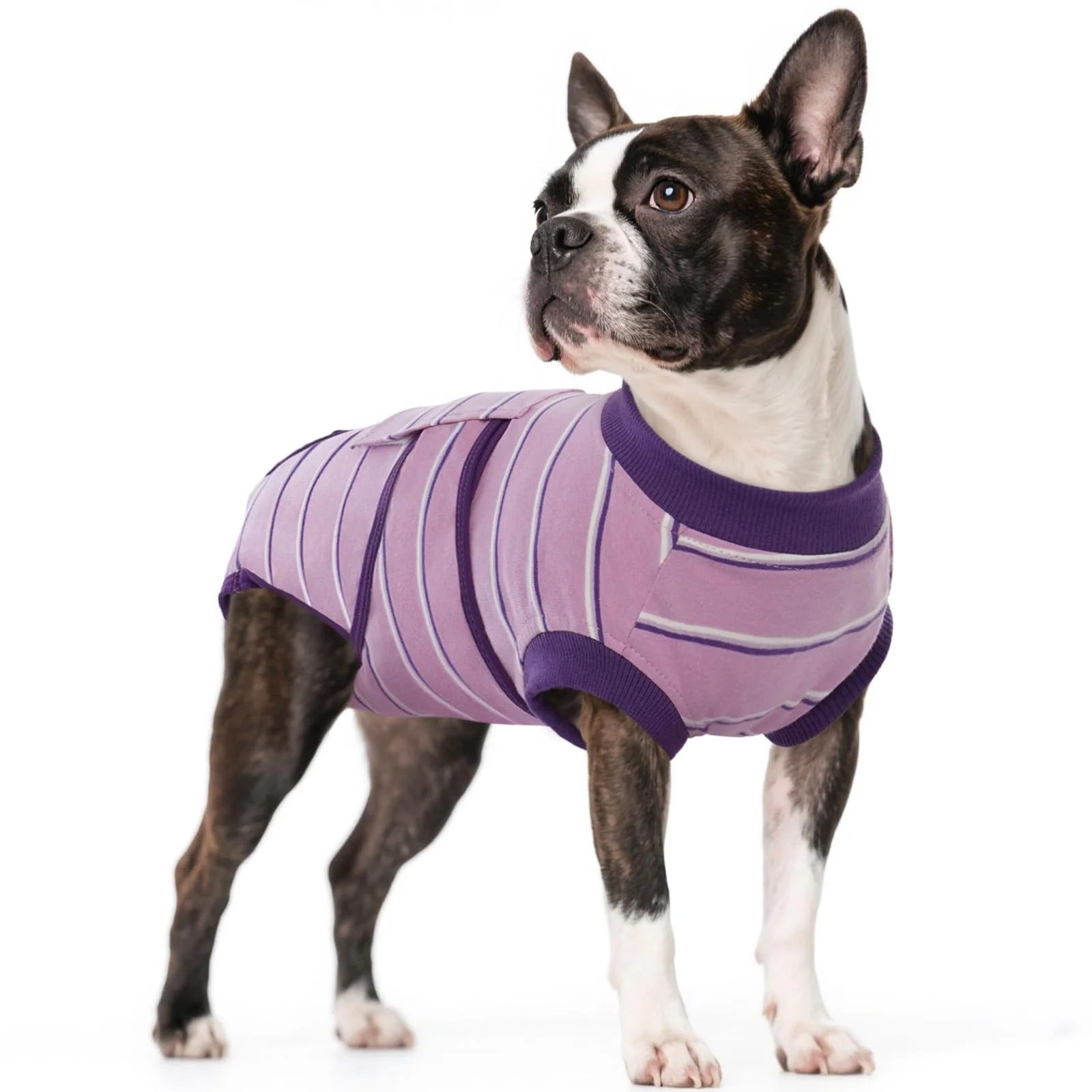 Artisan Kuoser Dog Surgery Recovery Suit — Breathable Anti-Licking Onesie XS-XXL Purple Strips Natural