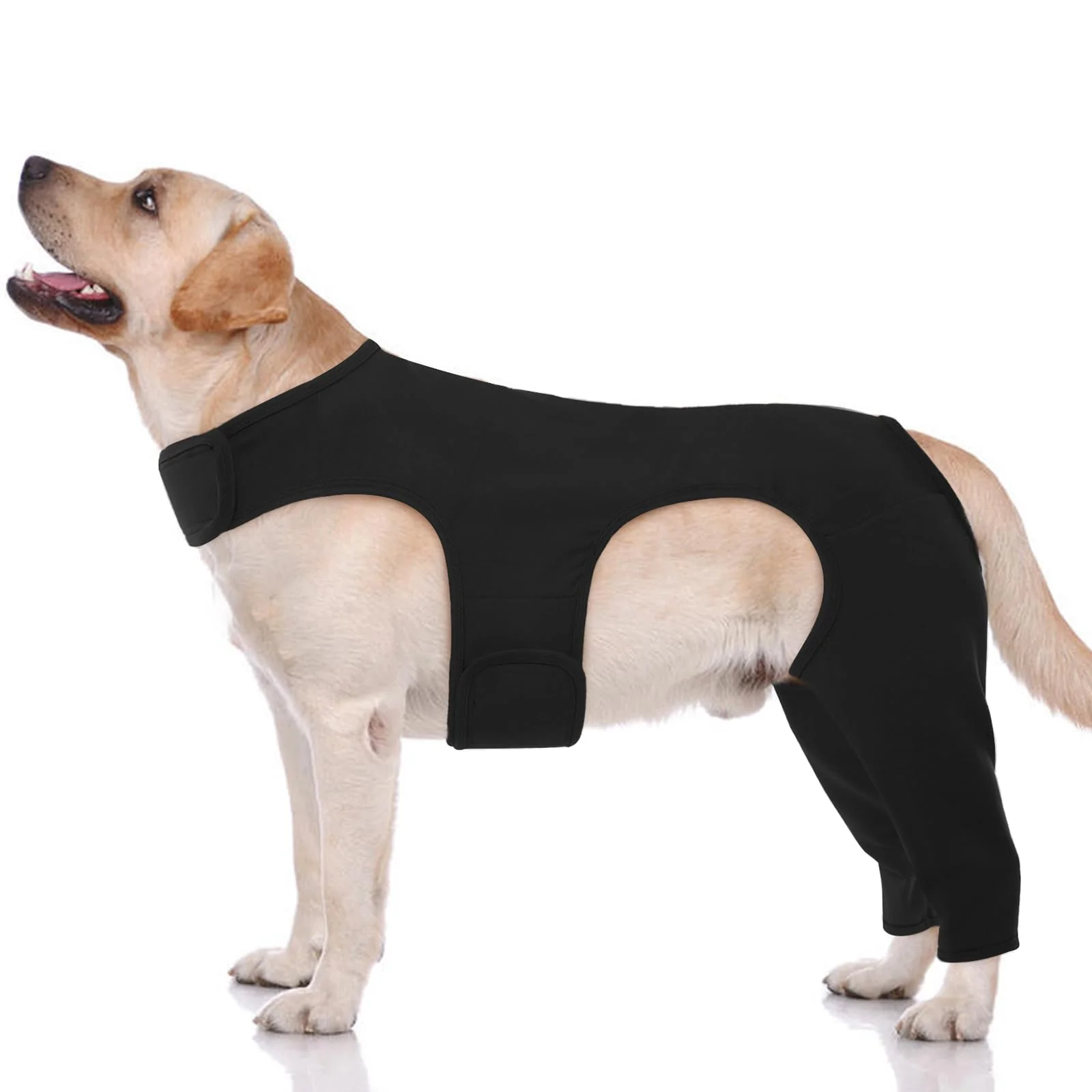 Innovative ROZKITCH Dog Pants M – Licking Prevention Sleeve for Hind Legs Versatile