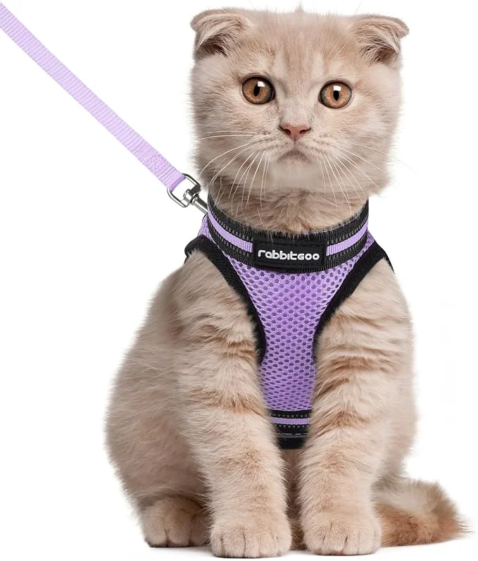 Unique rabbitgoo Cat Harness and Leash Set Crafted