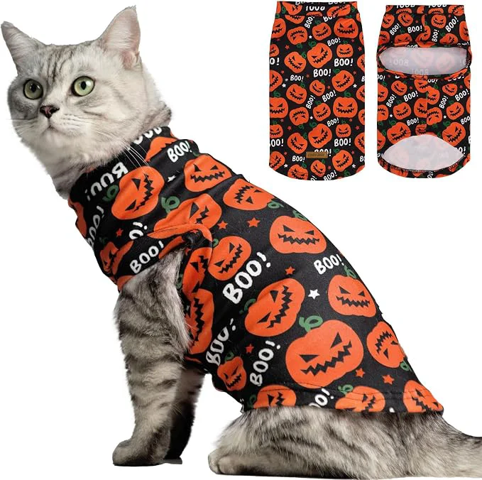 Fine Crafted EXPAWLORER Cat Halloween Sweater Optimized