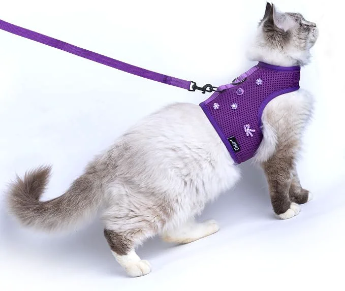 Unique Kitty Harness and Leash for Walking Escape Proof Breathable Mesh Fabric Next-Generation