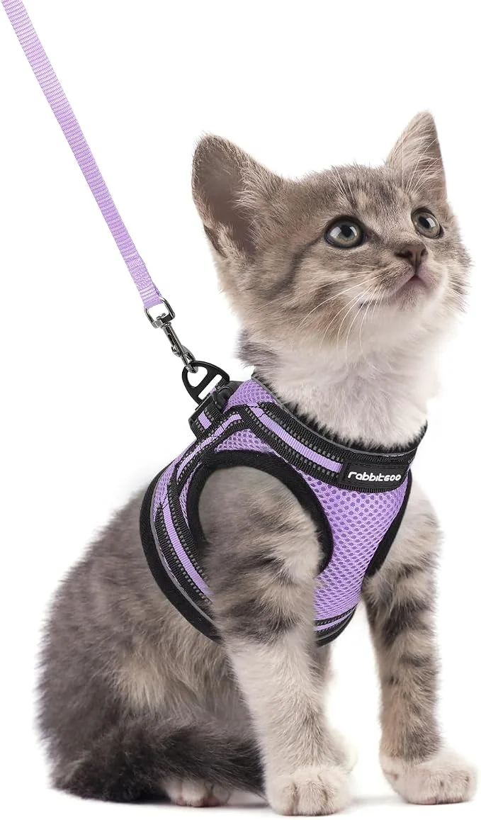 Advanced rabbitgoo Cat Harness and Leash Set Fine