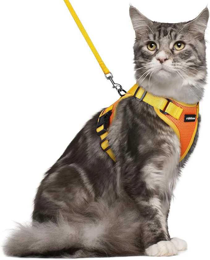 Versatile rabbitgoo Cat Harness and Leash Set Escape Proof Soft Adjustable Vest Harnesses Environmentally Friendly