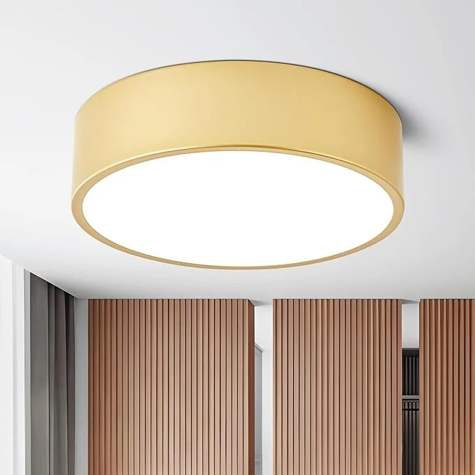 Consistent Dimmable Modern Flush Mount Ceiling Light Fixture Painted Gold Round LED Ceiling Lights Fixtures 5CCT 2700K-6000K Lighting for Kitchen Hallway Bedroom Laundry Room Entryway Closet 11.81 inchAbout ThisOverview Certified