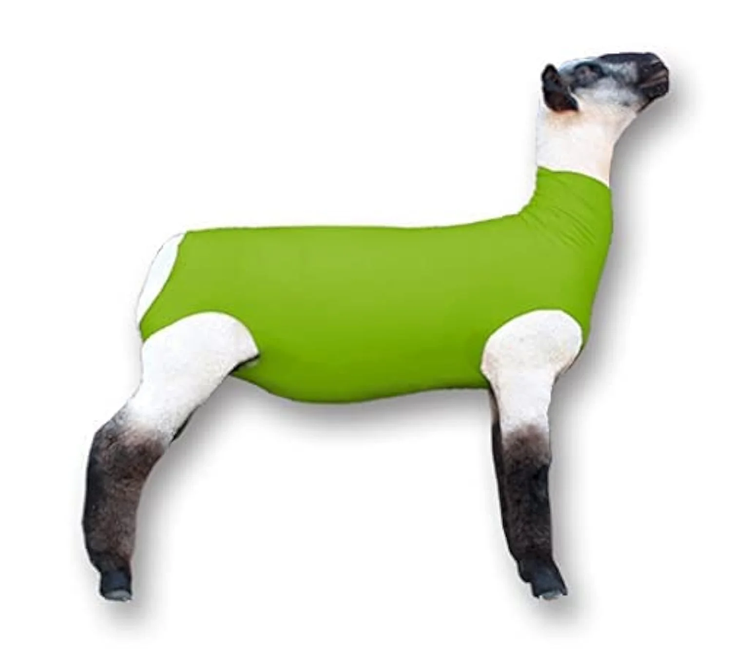 Dependable Showpro Outfitting Champions Neon Green Lamb Tube – Show Sheep Lamb Cover Large High-Grade