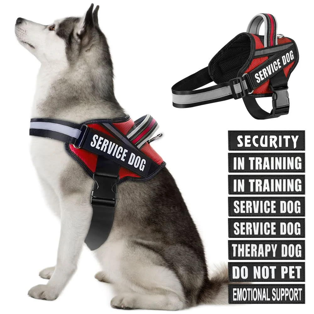 Certified Animire Dog Vest Harness with Patches Set — In Training Service Dog Sustainable