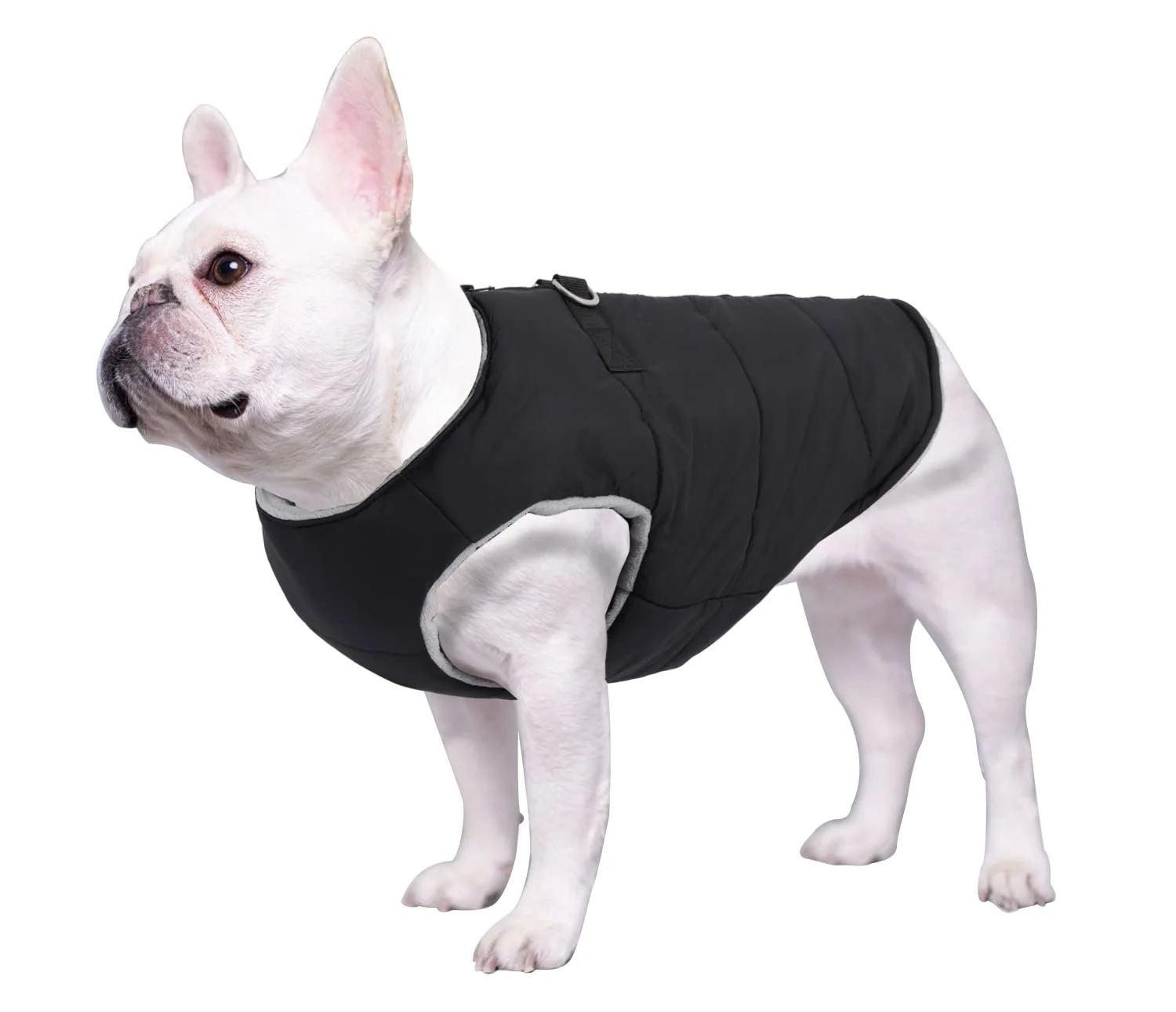Reliable Geyecete Dog Cotton Padded Coat — Thick Winter Vest for Bulldogs Black Size M Soft