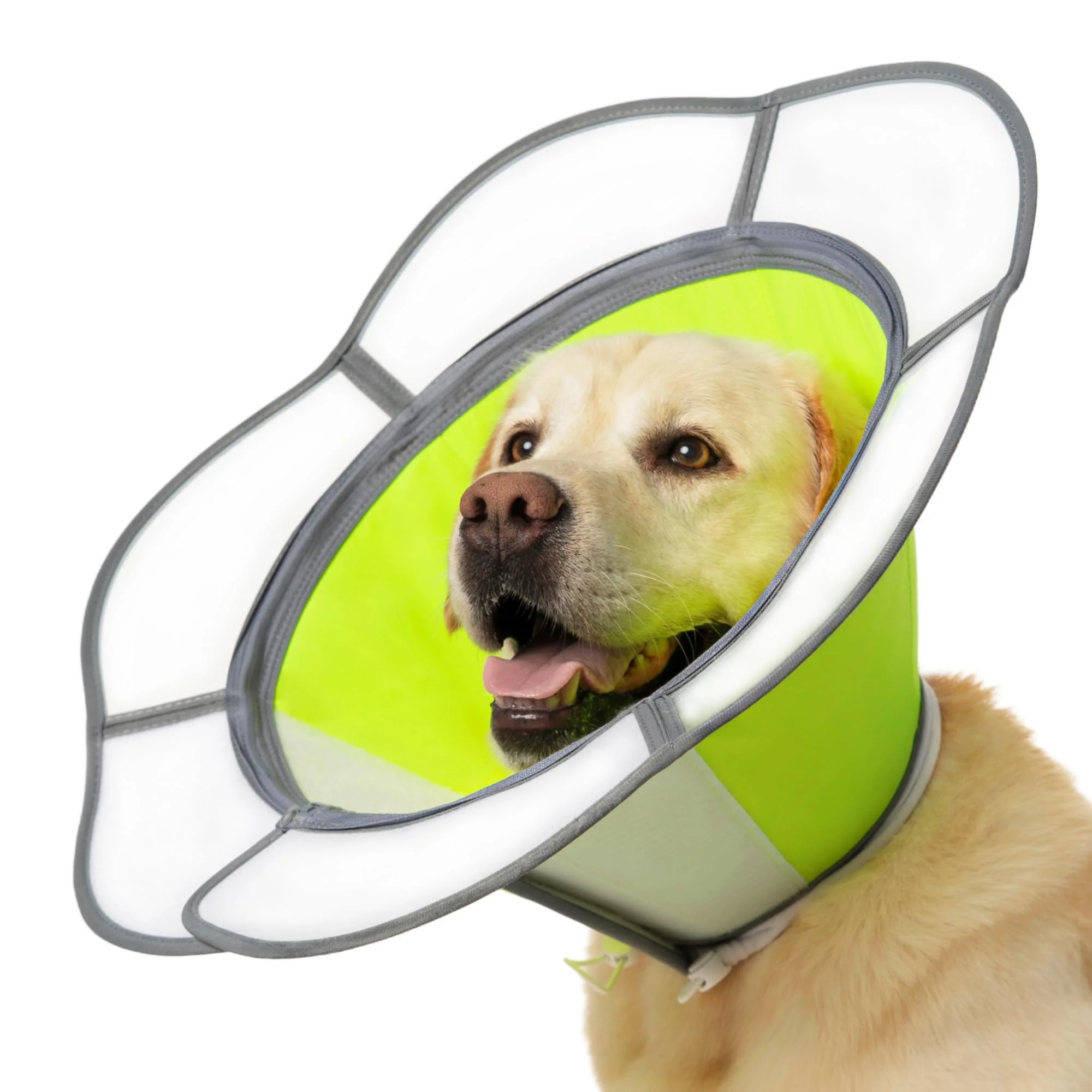 Fast Mariyago Soft Dog Cone Collar – Adjustable E-Collar with Removable Shield Neon Green L Efficient