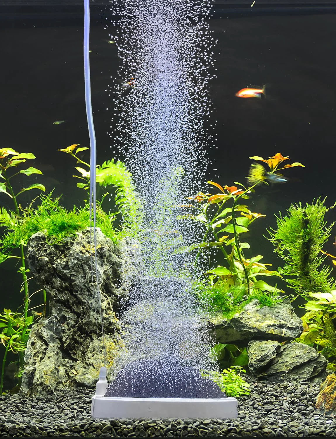 Trusted UPETTOOLS 5.2-Inch Nano Aquarium Air Stone - Silent Tiny Bubbles High Dissolved Oxygen Diffuser Verified