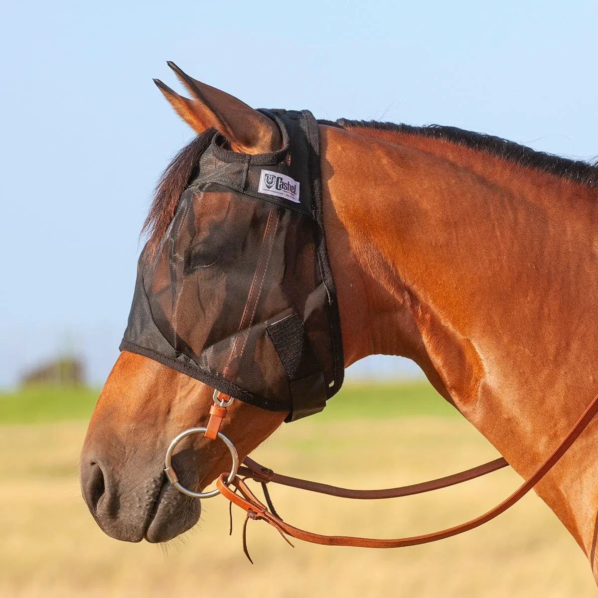 Traditional Cashel Quiet Ride Fly Mask – Standard Arabian Small Horse Lightweight Breathable Practical