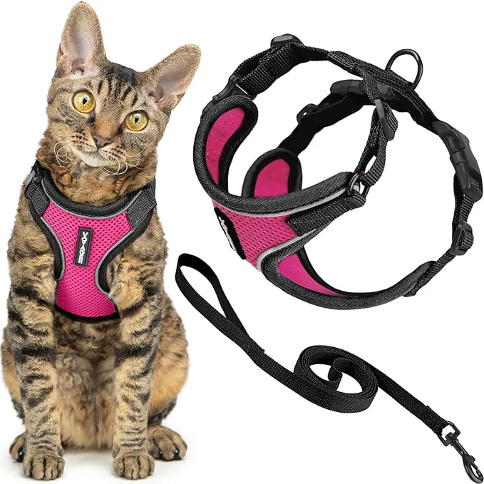Trusted Voyager Escape-Proof Step-in Lock Cat Harness 5ft Neoprene-Handle Leash Set Proven