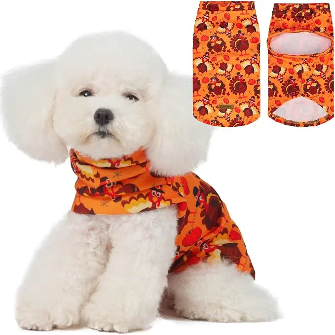 Durable EXPAWLORER Thanksgiving Cat Sweater Refined