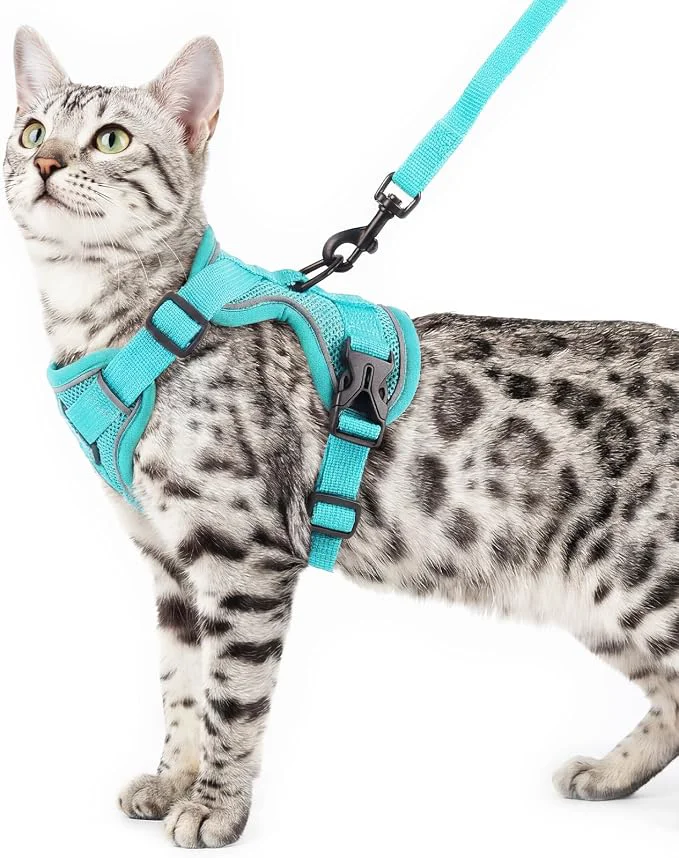 World-Class Cat Harness and Leash Set Escape Proof Tactical Small Kitten Harness Emotional Contemporary