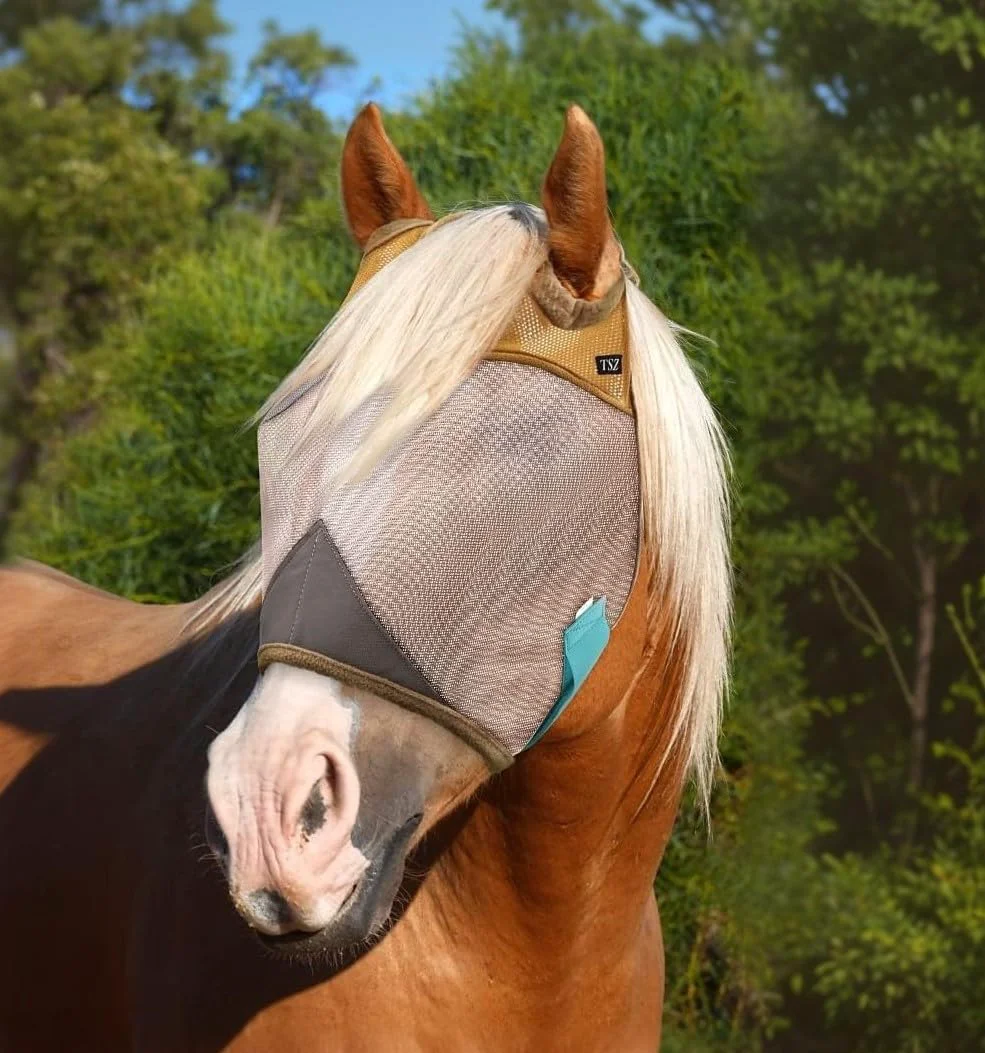 Durable The Sunny Zebra Standard Fly Mask for Horses Comfortable