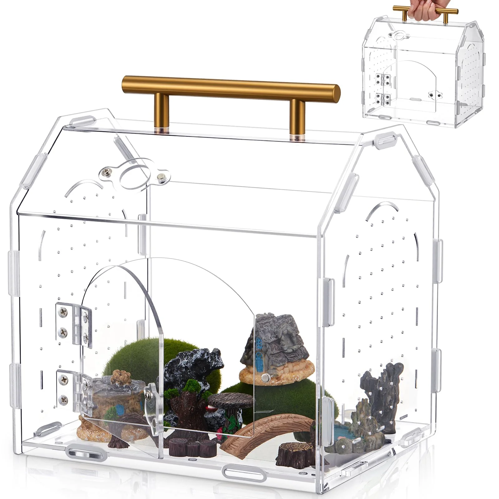 Comfortable Teenyyou Jumping Spider Enclosure — 8.9 x 7.1 x 8.3 in Acrylic Terrarium with Handle Certified