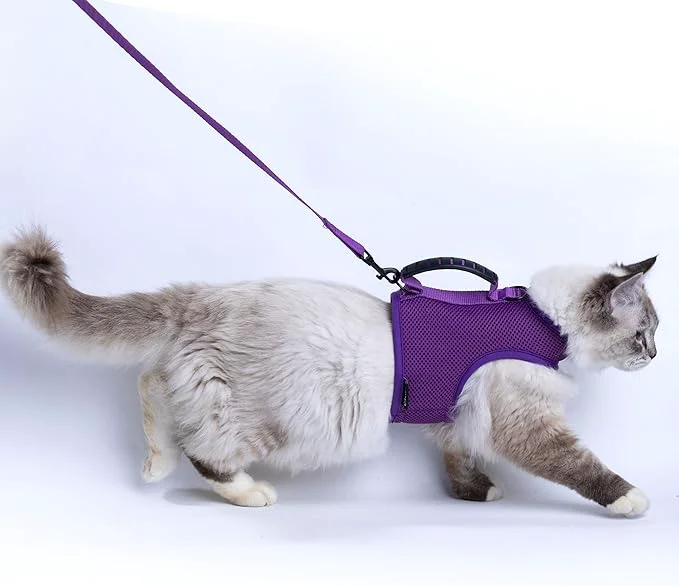 User-Friendly Cat Harness and Leash for Walking Escape Proof Breathable Mesh Fabric Authentic