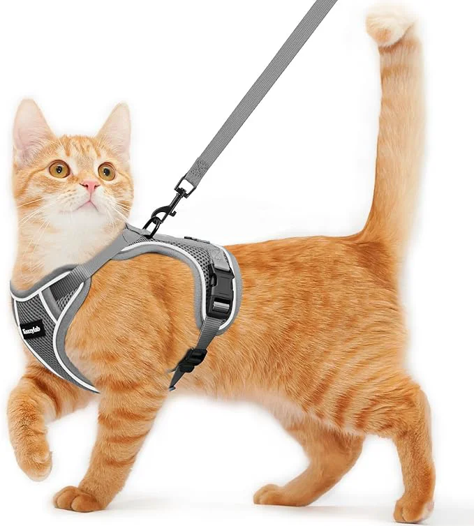 Casual Cat Harness and Leash for Walking Escape Proof Soft Adjustable Cat Leash Smooth