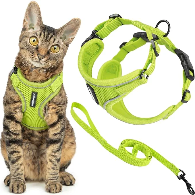 Certified Voyager Escape-Proof Step-in Lock Cat Harness 5ft Neoprene-Handle Leash Set Next-Generation
