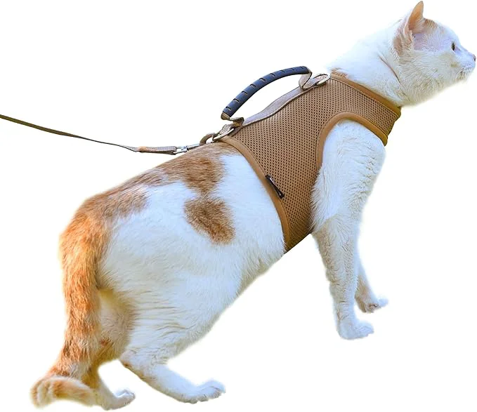 Professional Kitty Harness and Leash for Walking Escape Proof Breathable Mesh Fabric Original Design