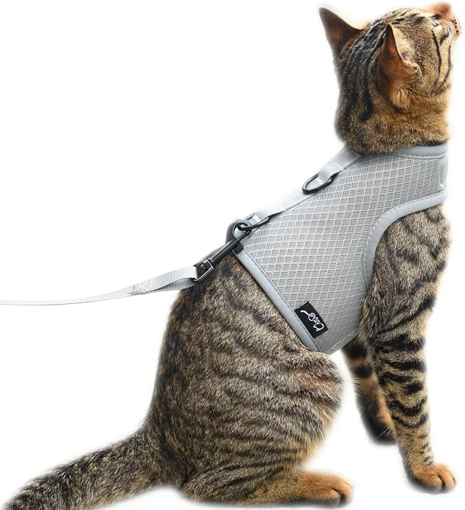 Environmentally Friendly Kitty Harness and Leash for Walking Escape Proof Breathable Mesh Fabric Practical