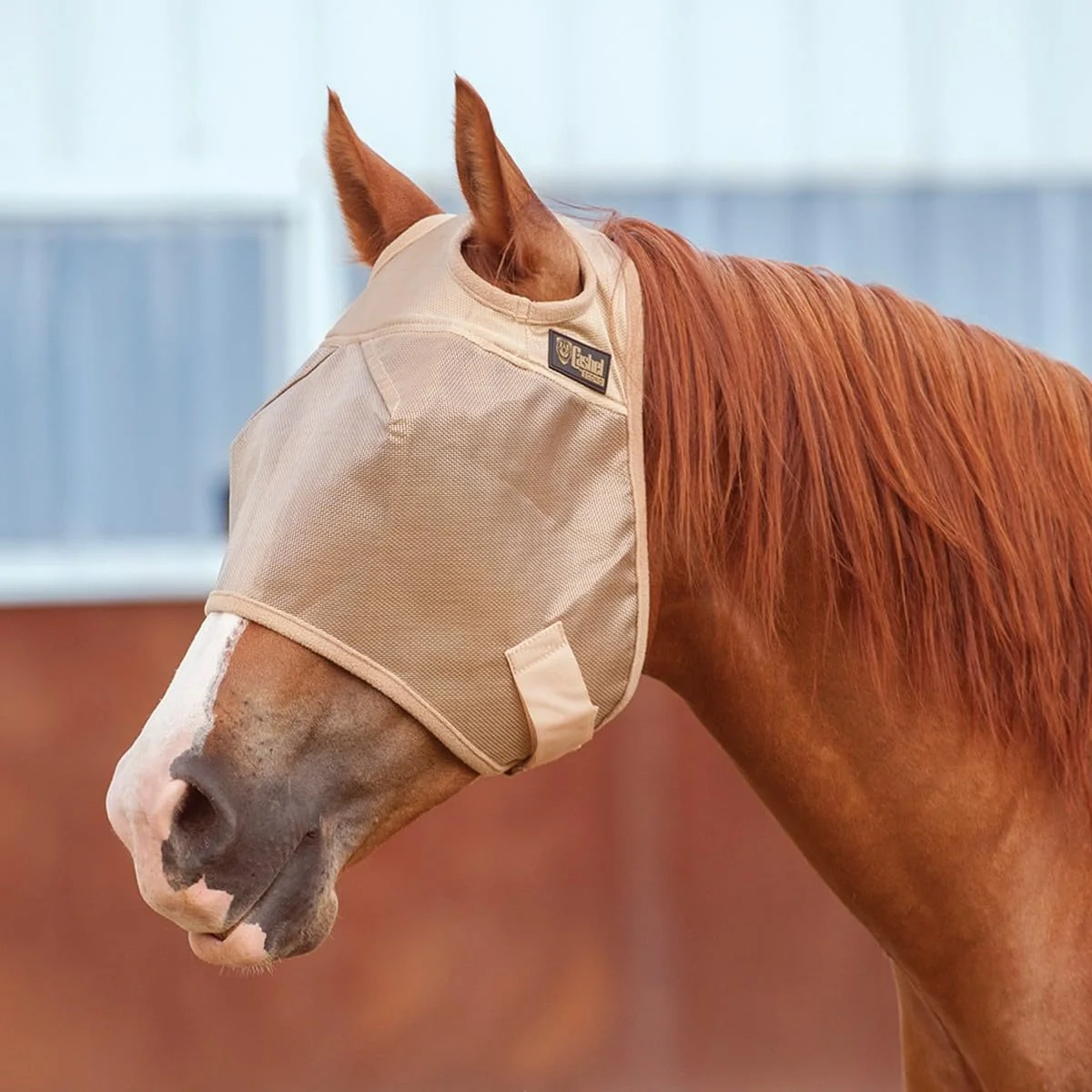 Solid Cashel Econo Standard Fly Mask – Lightweight -Friendly Horse Fly Protection Comfortable
