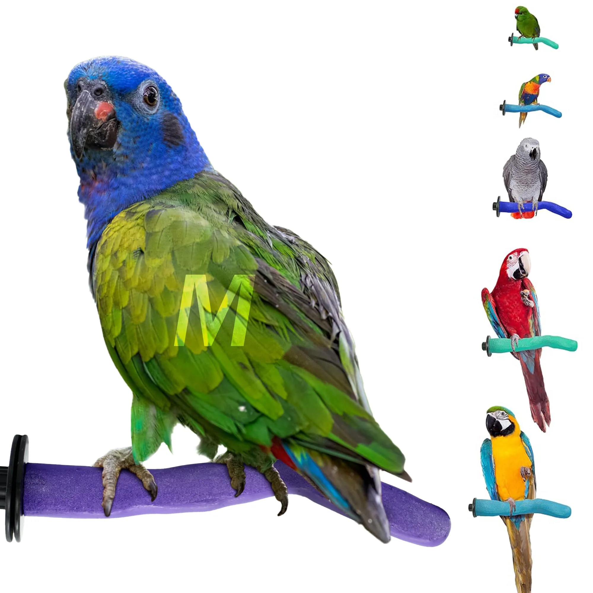 Versatile Sweet Feet Beak Safety Pumice Perch – Medium 1-1 4 x 12 Green Lightweight Bird Nail Beak Grooming Perch Selected