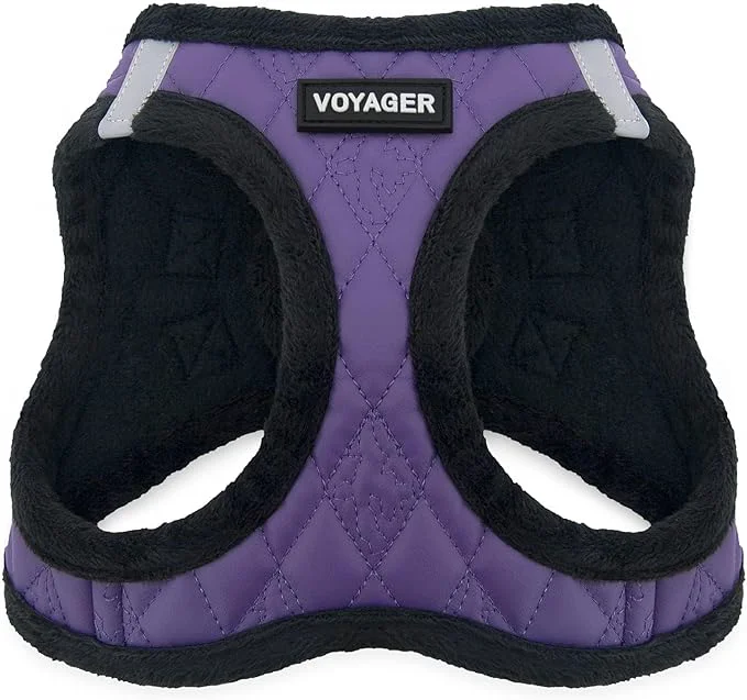 Contemporary Pet Supplies Casual