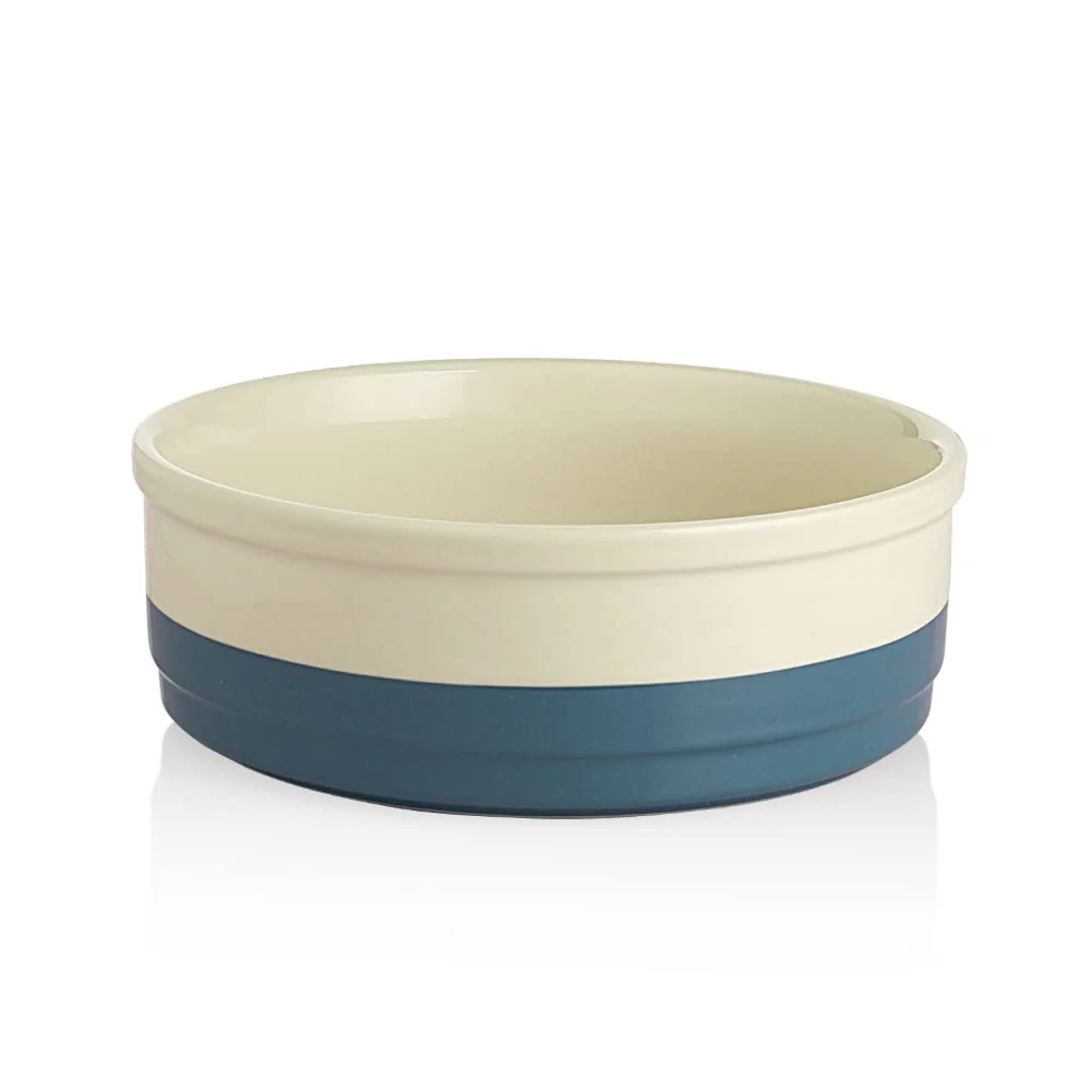 User-Friendly Sweejar Ceramic Dog Bowl 78oz – Heavy-Duty Porcelain Dish for Large Dogs Cats Fog Blue Relaxed