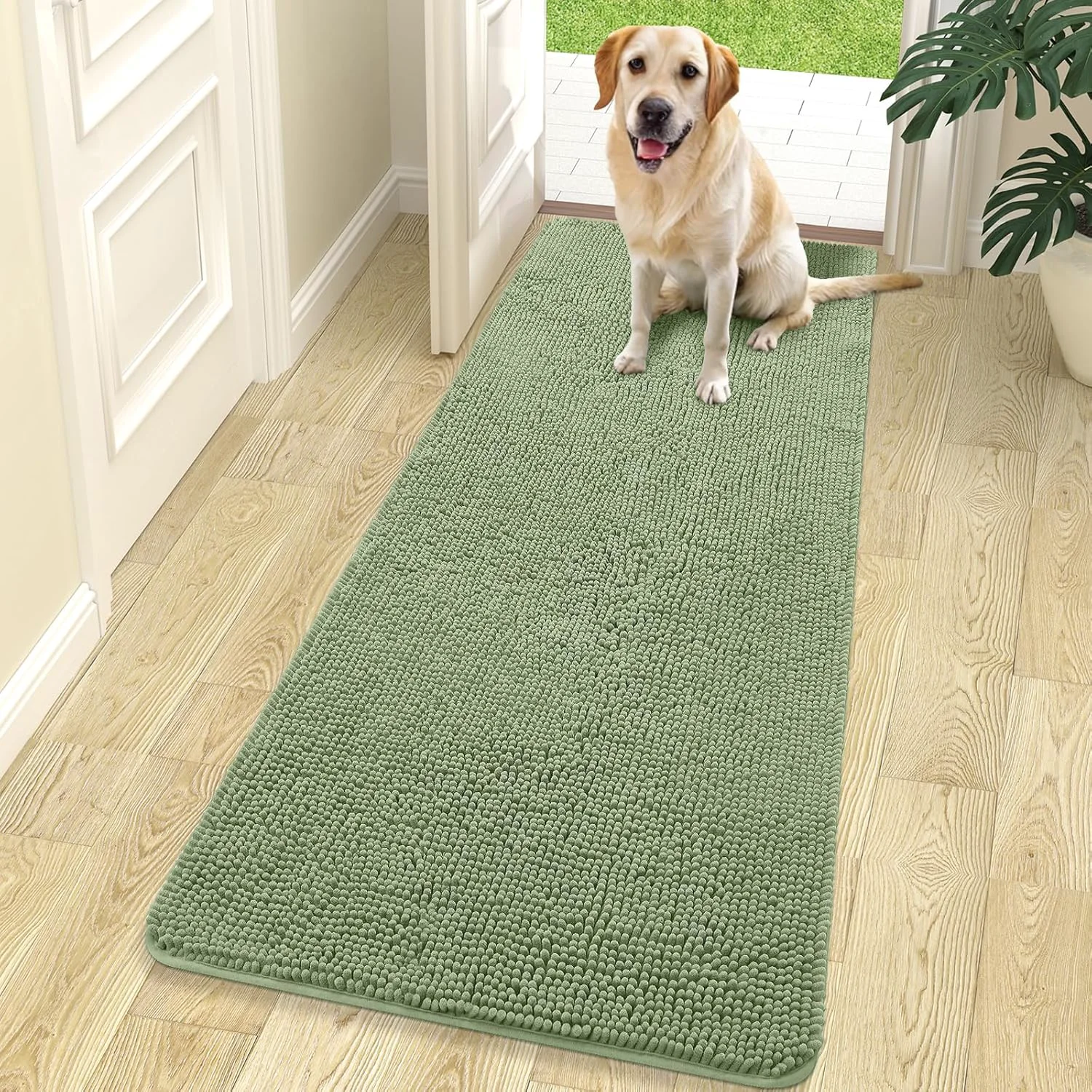 Detailed OLANLY Dog Door Mat for Muddy Paws 70x24 Absorbs Moisture and Dirt Absorbent Non-Slip Washable Doormat Quick Dry Chenille Mud Mat for Dogs Entry Indoor Entryway Carpet for Inside Floor Sage Green Environmentally Friendly
