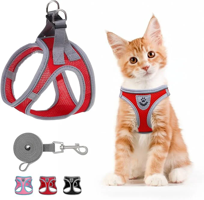 Versatile SCENE Cat Harness and Leash Set Escape Proof Adjustable Soft Air Mesh Professional