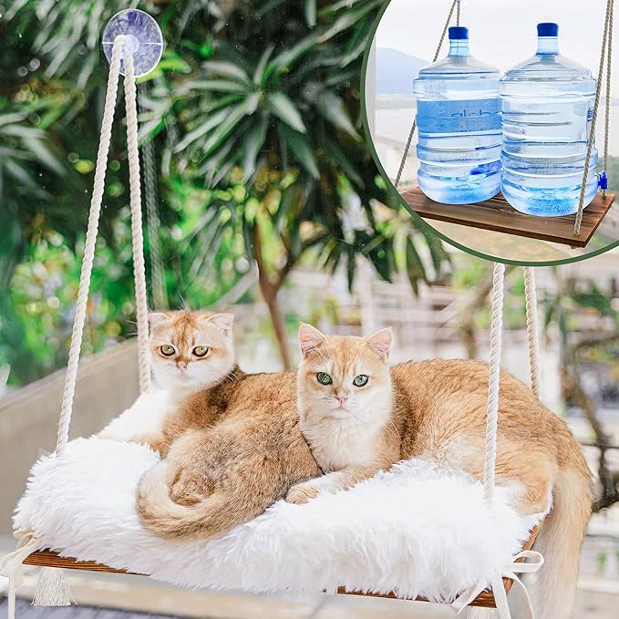 Advanced Large Cat Window Perch with Industrial-Grade Suction Cups Professional