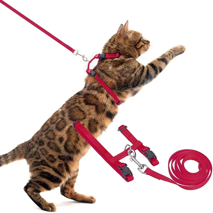 Versatile PUPTECK Adjustable Cat Harness and Leash Set Escape Proof Kitten Strap Collar Efficient