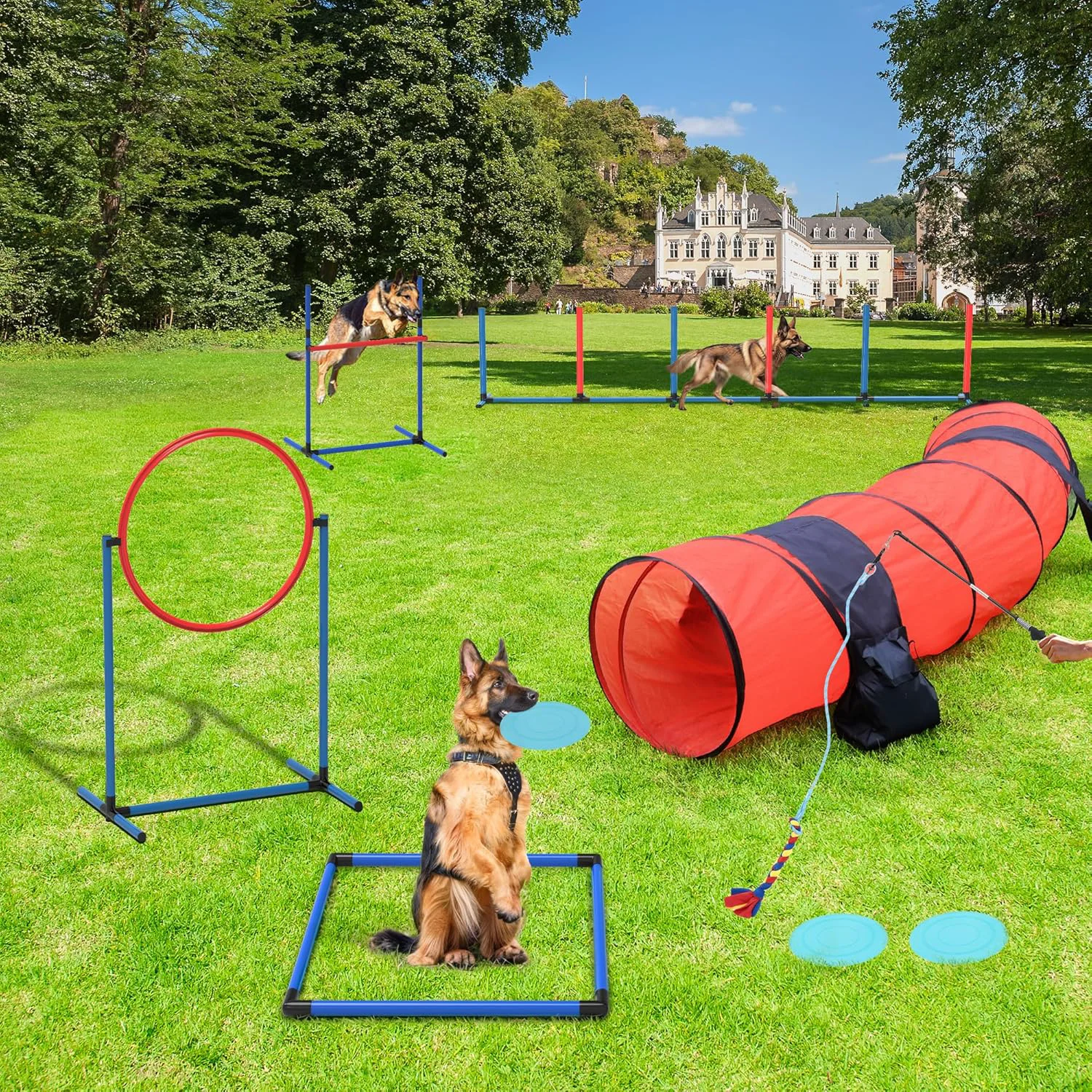 Trusted YITAHOME Dog Agility Training Equipment Set with Flexible Tunnel Hurdle Jump Ring 6 Weave Poles Pause Platform Teaser Pole 3 Flying Discs and Carry Bags for Indoors Outdoors Orange Blue Efficient