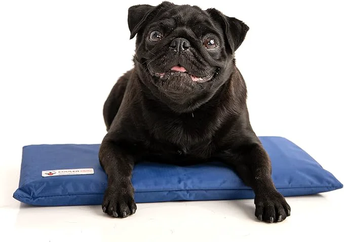 Fast CoolerDog Hydro Cooling Mini Mat Stylish